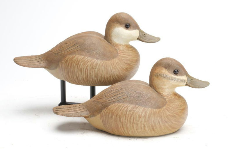 Cigar Daisey – Ruddy Duck – 2023