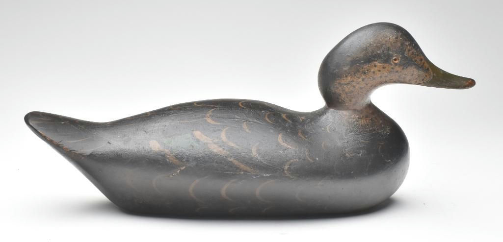 Mason Decoy Factory – Black Duck – 2023