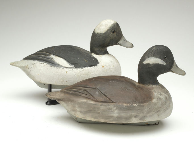 Ben Schmidt – Pair of Bufflehead – 2023