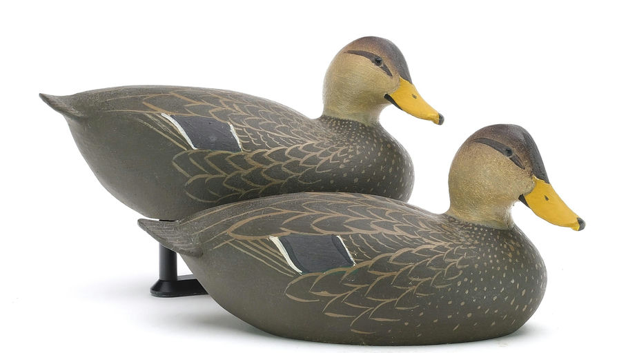 Ward Brothers – Miniature Black duck – 2024