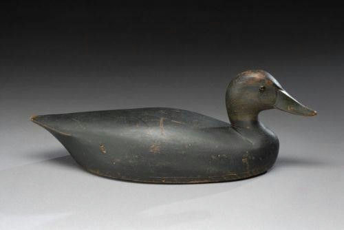 Thomas Chambers – Hollow Black Duck – 2007
