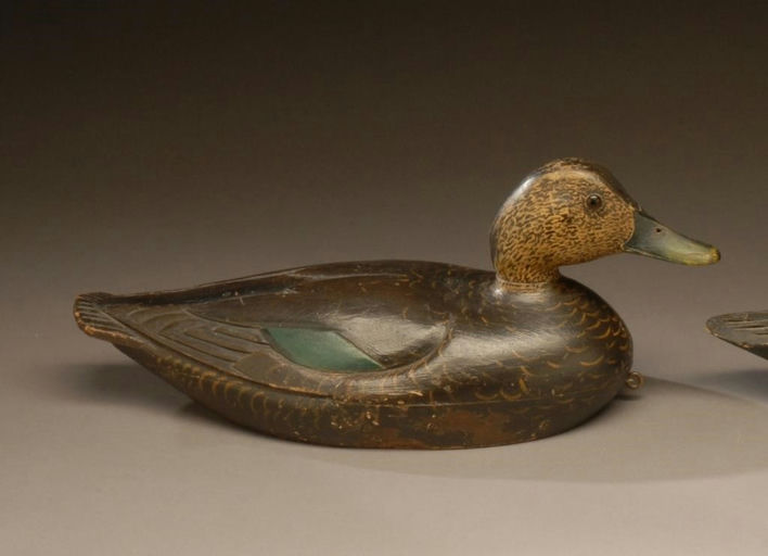 Charles Hart – Black Duck – 2008