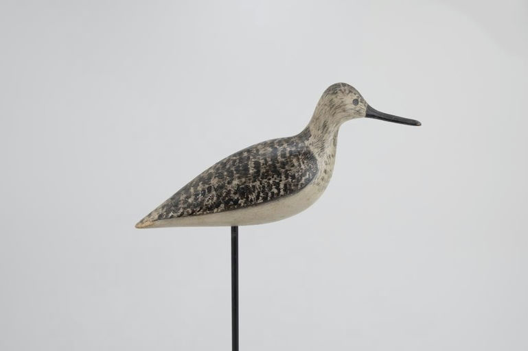 Harry V. Shourds – Yellowlegs – 2026