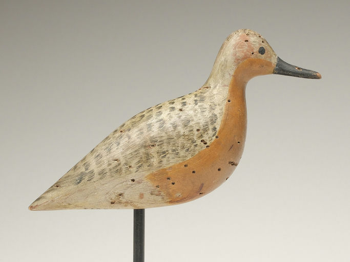Harry V. Shourds – Snipe – 2023
