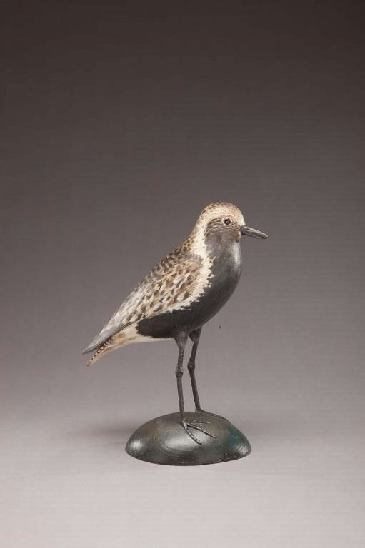 Elmer Crowell – Black-Bellied Plover – 2011