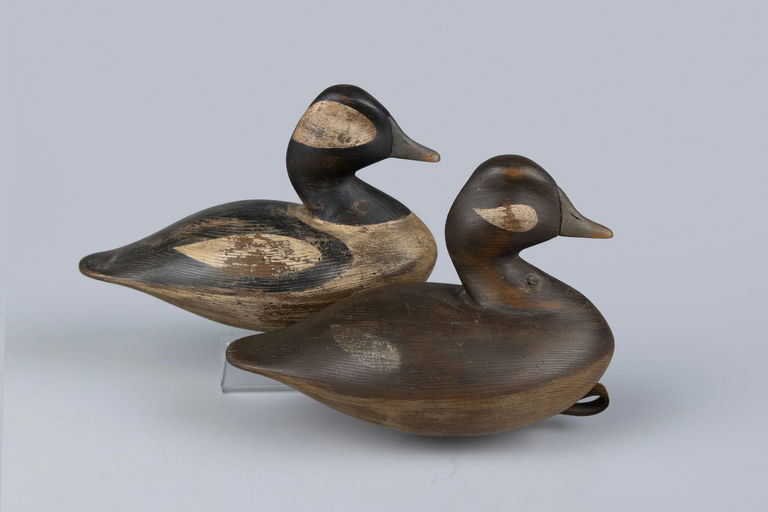 Steve Morey – Bufflehead Pair – 2026