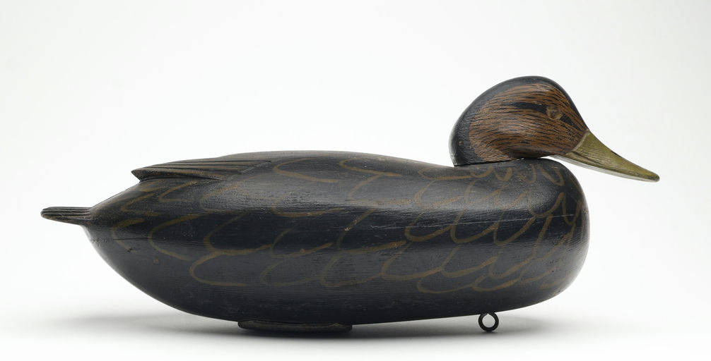 Jess Heisler – Black Duck – 2026
