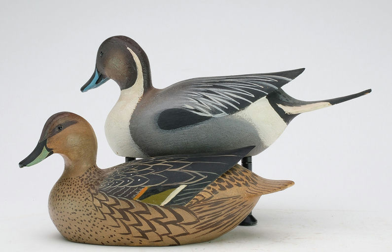 Ward Brothers – Pair of miniature pintails – 2024