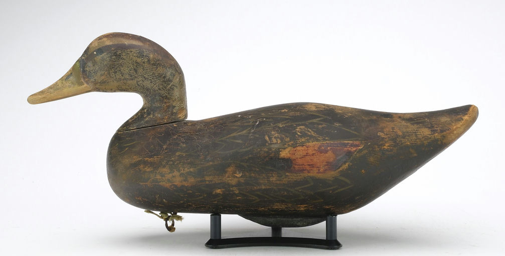 R. Madison Mitchell – Black Duck – 2024
