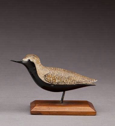 George Boyd – Miniature Golden Plover – 2012
