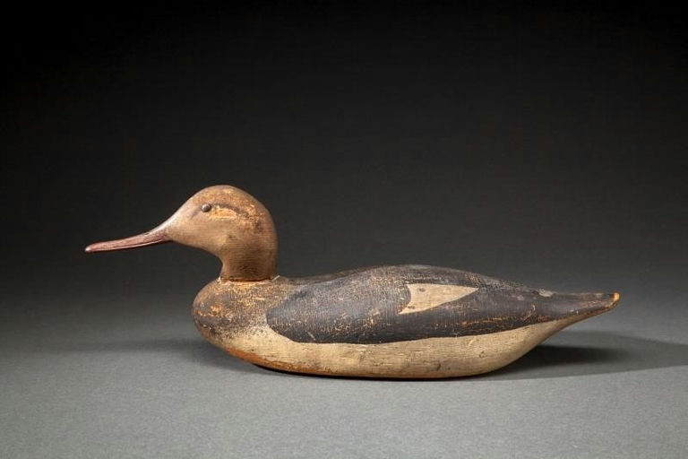 Allen P. Stuart – Red-breasted Merganser Hen – 2014