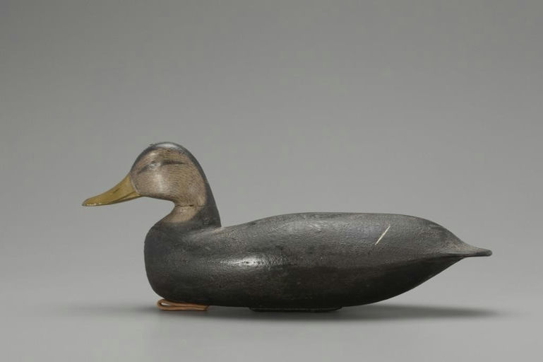 Levi Rhodes Truex – Black Duck – 2018