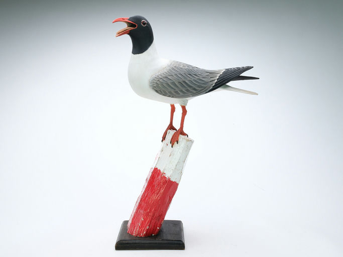 Frank Finney – Full-size Standing Laughing Gull – 2025