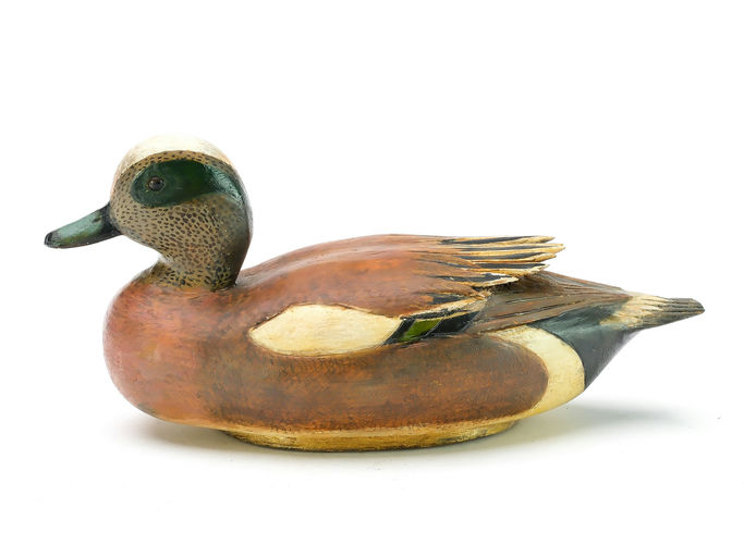 Tom Schroeder – Wigeon – 2025