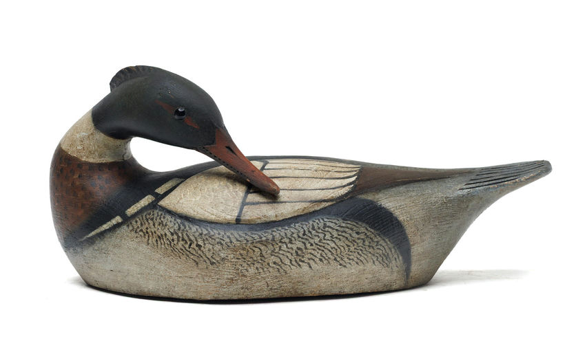 Reggie Birch – Red-breasted merganser – 2026