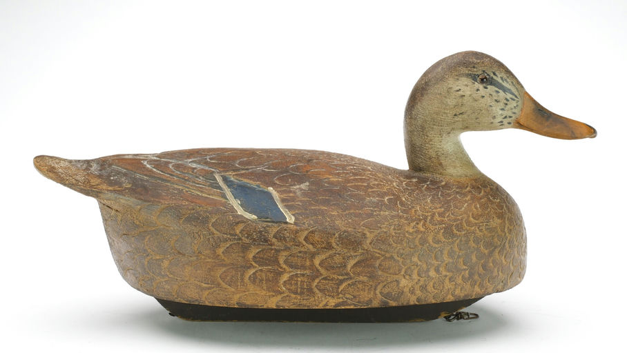 Ben Schmidt – Mallard Hen – 2024