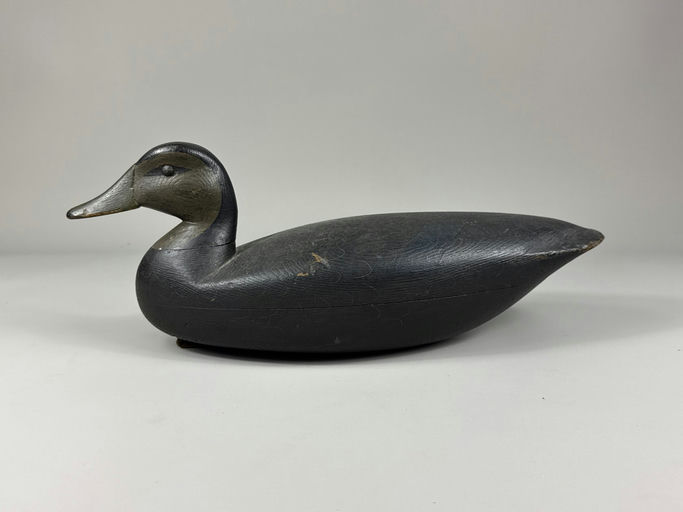 Jesse Birdsall – Black Duck – 2026