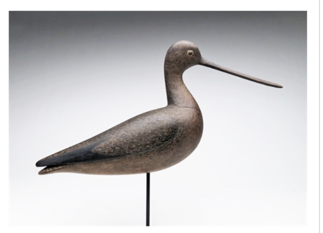 Mark McNair – Hudsonian Godwit – 2021