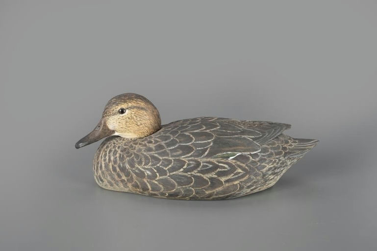 Malcolm Clark – Green-winged Teal Hen – 2024
