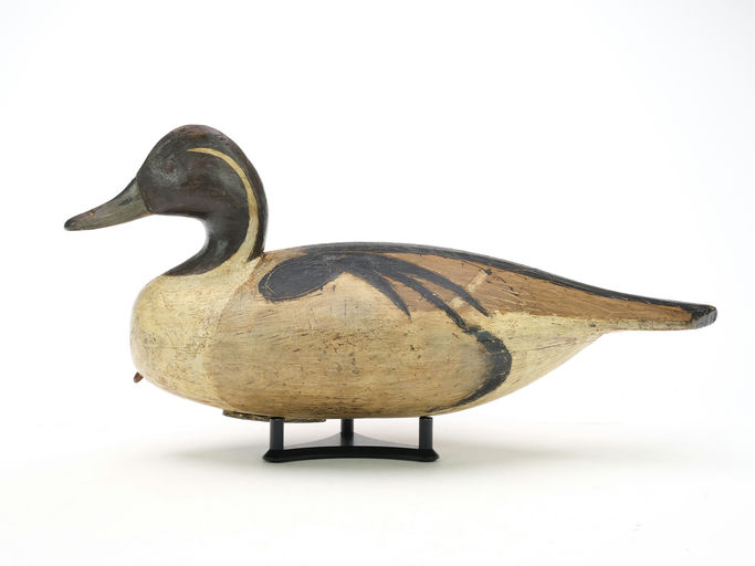 Ira Hudson – Pintail – 2024