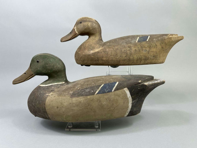 Ron Koch – Mallard Duck – 2026
