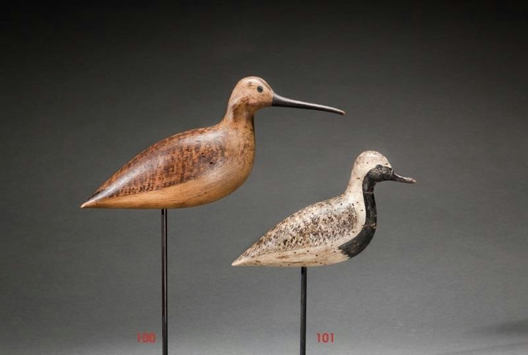 Harry V. Shourds – Black-Bellied Plover – 2014