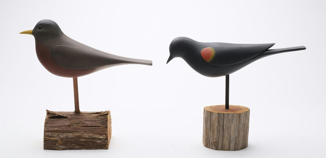 Jamie Hand – Robin – 2024