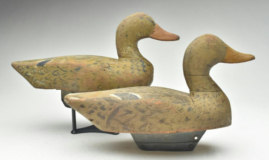 Duncan Ducharme – Mallard – 2023