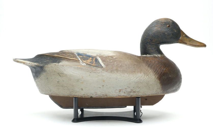 Ben Schmidt – Mallard Drake – 2026