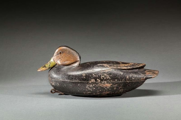 C. Ridgway Marter – Black Duck – 2015