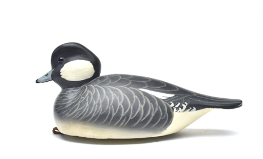 Grayson Chesser – Bufflehead Hen – 2022