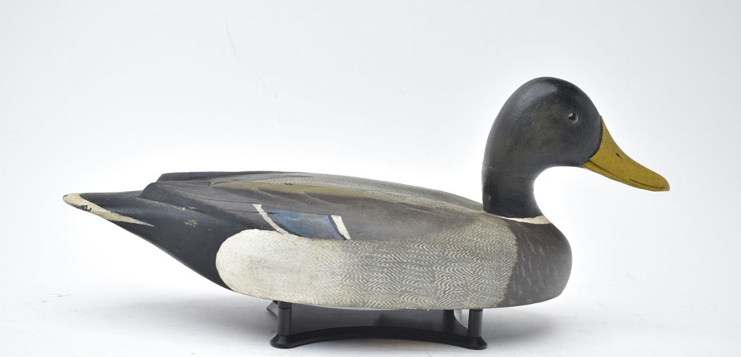 David W. Nichol – Mallard – 2025