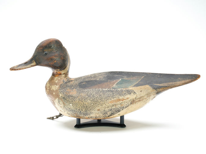 Ward Brothers – Pintail – 2025