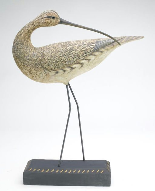 Reggie Birch – Curlew – 2023