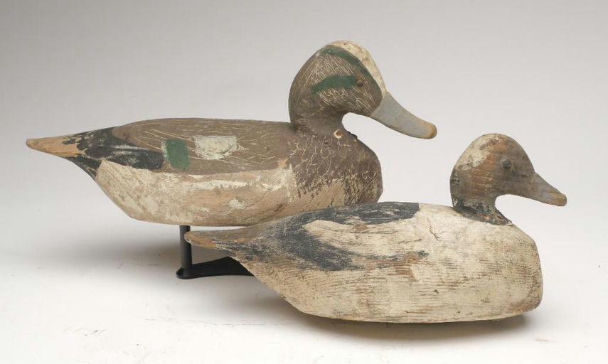 Miles Hancock – Bufflehead – 2023