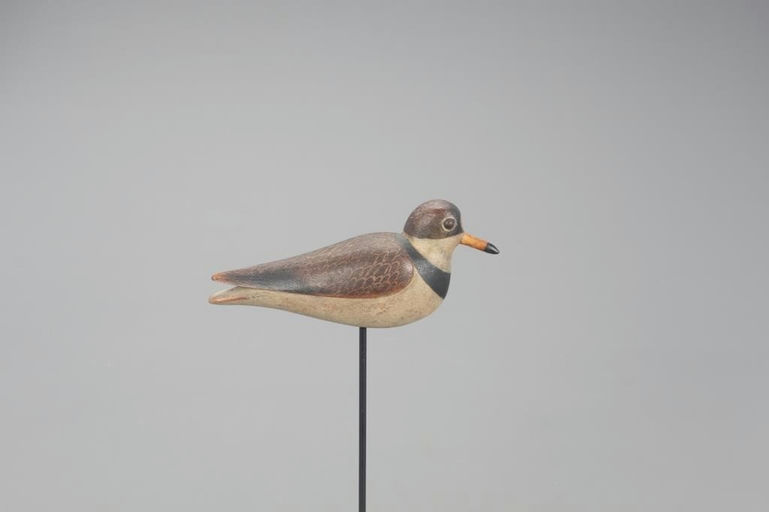Mark McNair – Semi-Palmated Plover – 2021