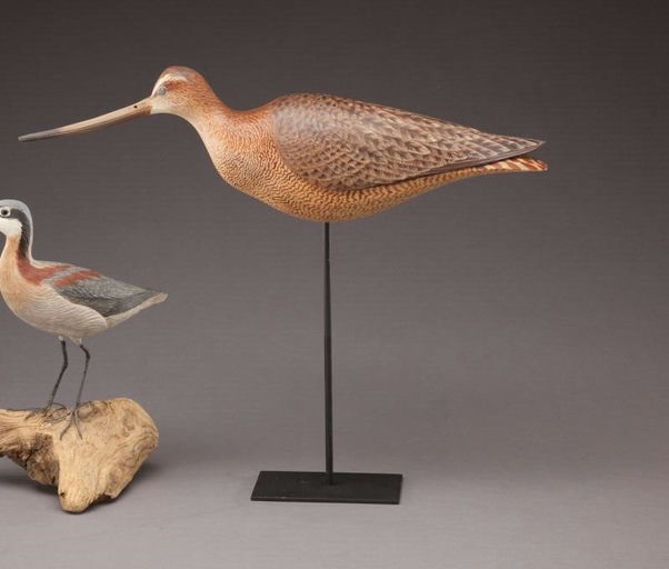David Rhodes – Marbled Godwit – 2011