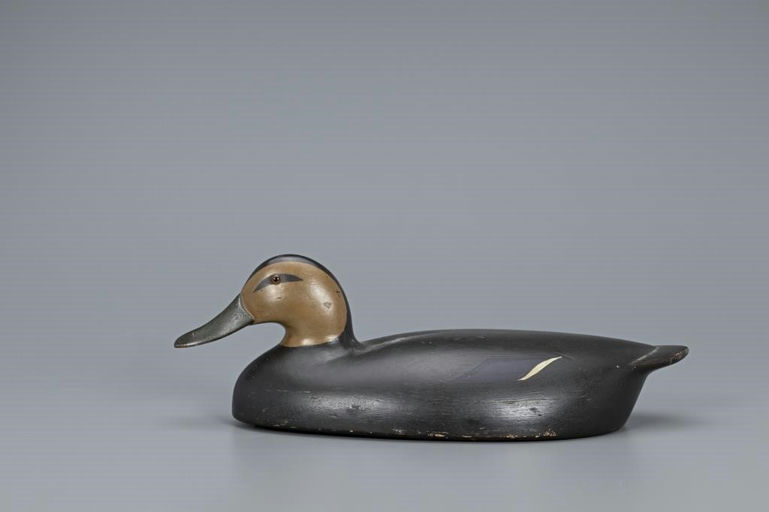 Joel Barber – Black Duck – 2019
