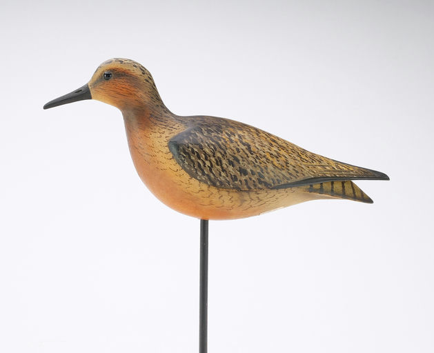 Bill Gibian – Robin Snipe – 2024