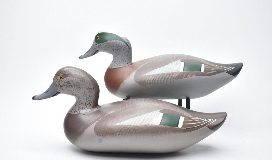 R. Madison Mitchell – Pair of Wigeon – 2025