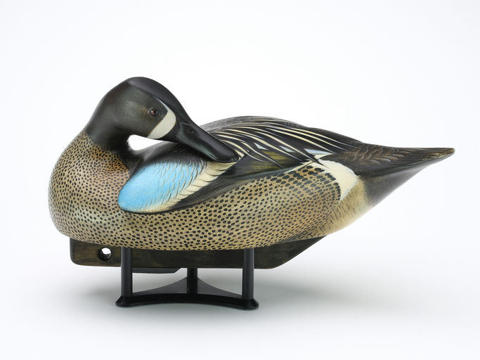 Jim Schmiedlin – Preening Blue-winged Teal – 2024