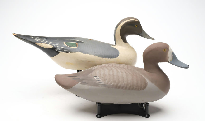 R. Madison Mitchell – Bluebill Hen – 2026