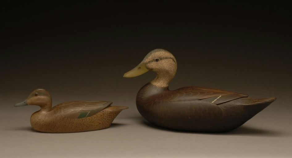 Leon Borkowski – Green-winged Teal Hen – 2008