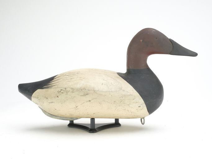 Bob McGaw – Canvasback – 2023