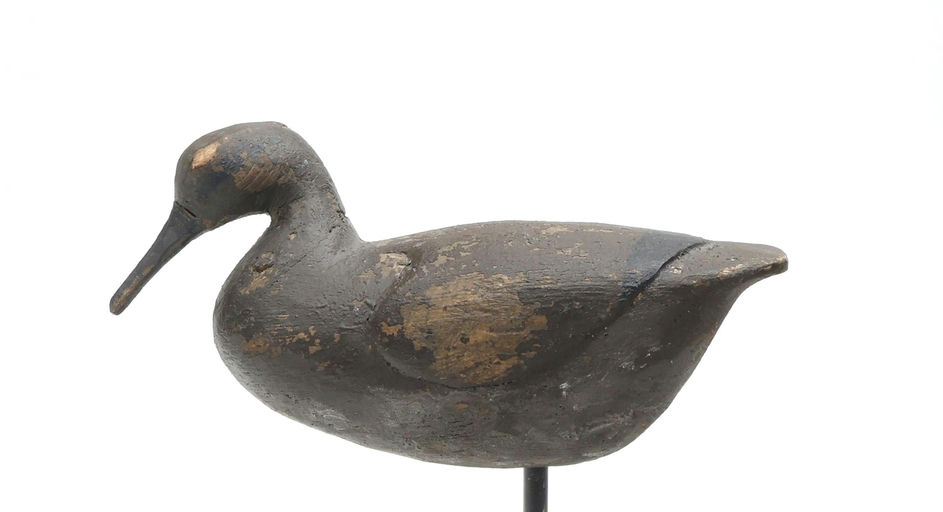 Reggie Birch – Curlew – 2026