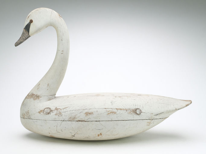Charles Birch — Swan