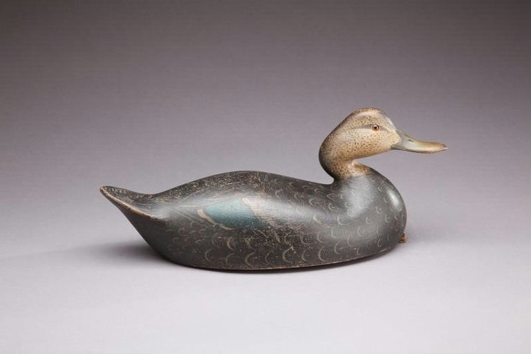 Cameron McIntyre – Black Duck – 2013