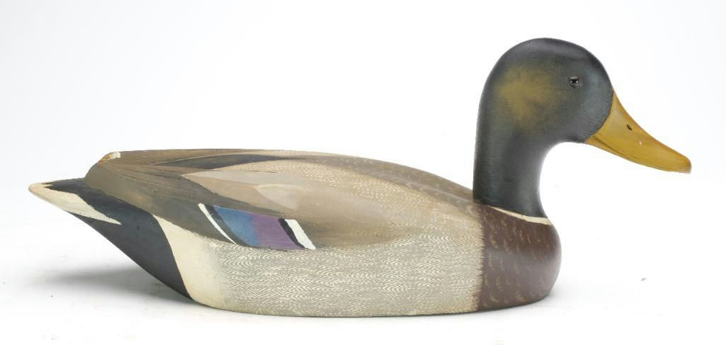 David W. Nichol – Mallard – 2023