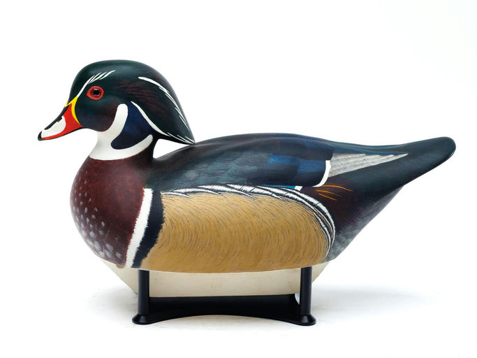 Mike Toole – Wood Duck – 2026