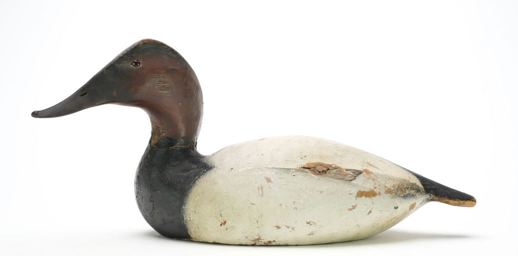 Ward Brothers – Canvasback – 2024
